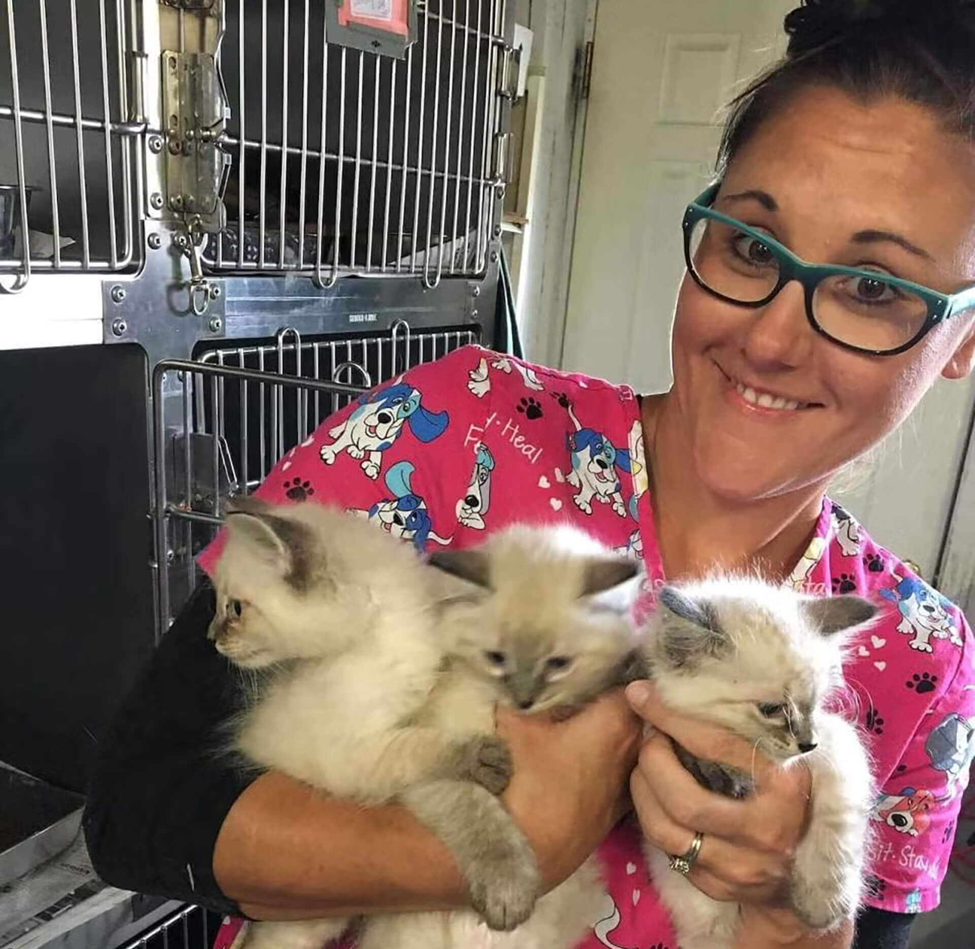 Arkansas City Veterinary Clinic 