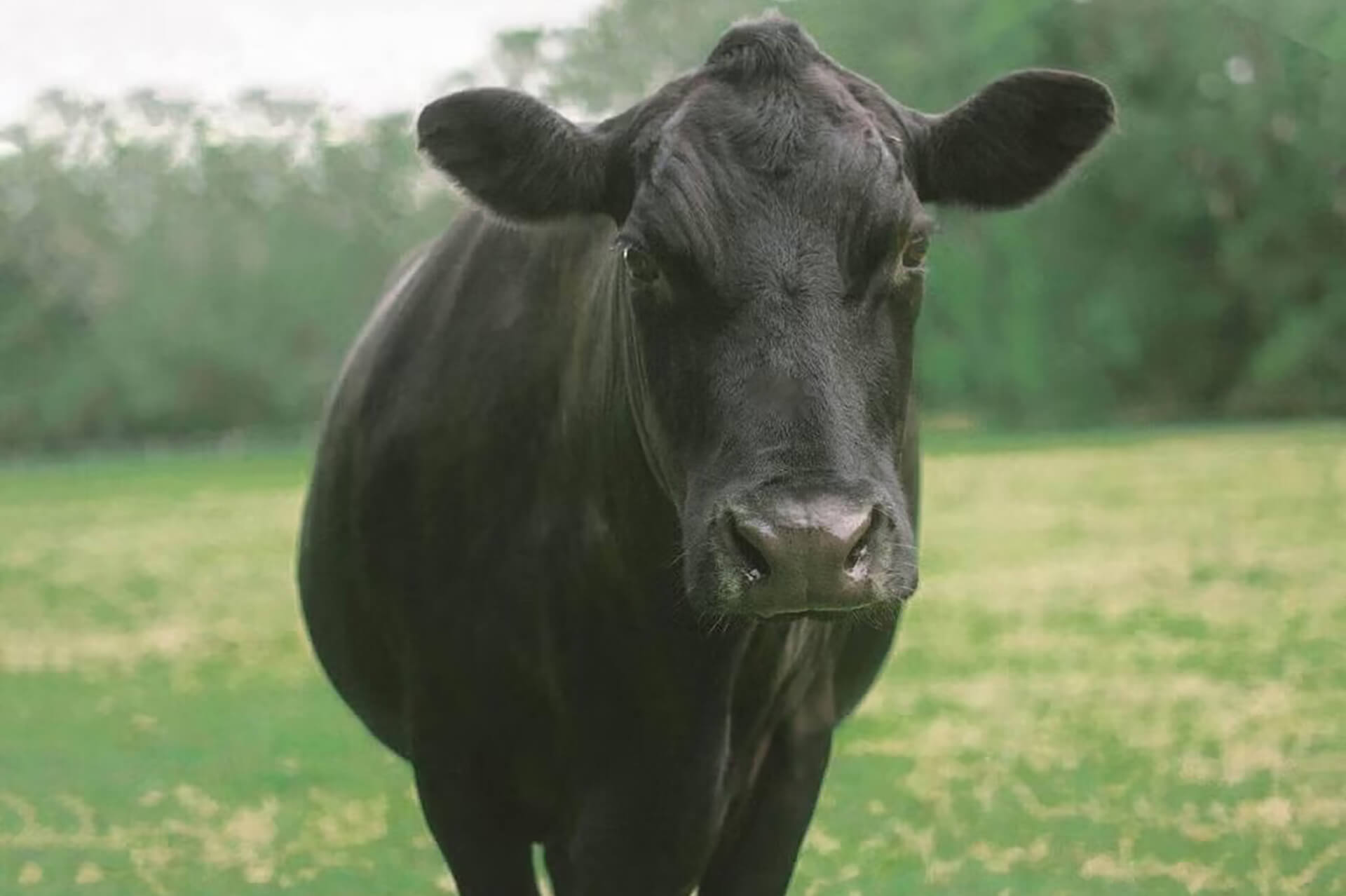 Large Animal Clinic in Arkansas City